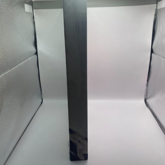 Flower Power III By Studio Arts Canvas Art Print Flower Crown Dalmatian - Picture 4 of 4